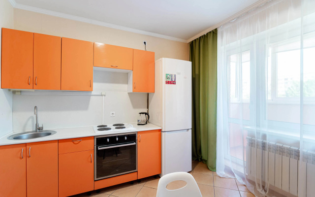 Uyutnaya kvartira v tsentre levoberezhyya Flat