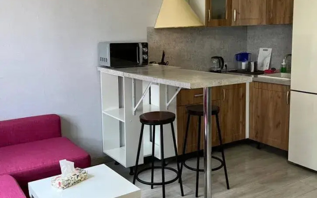 Квартира на Лиговском Проспекте 271