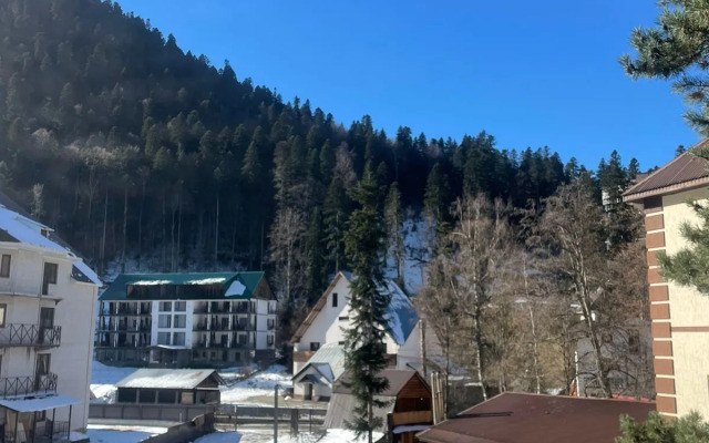 Апартаменты Уютный Номер в Сердце Домбая