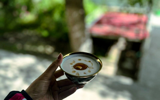 Sofiya Guest house