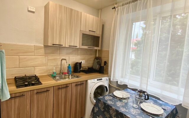 V Tsentre Lazarevskogo Apartments