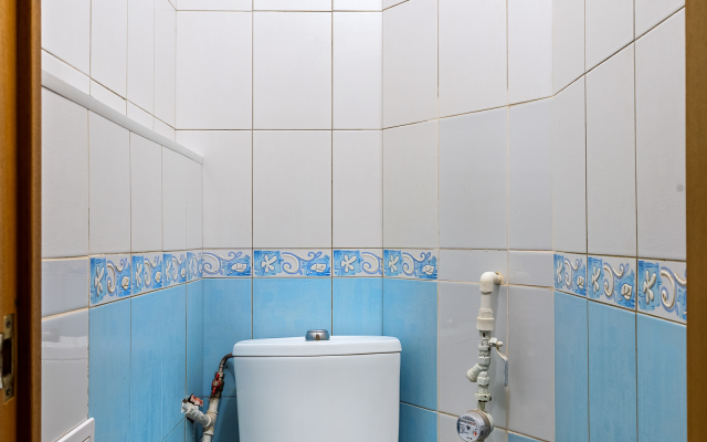 Квартира Удельный пр. 29 Алмазова 5 мин пешком