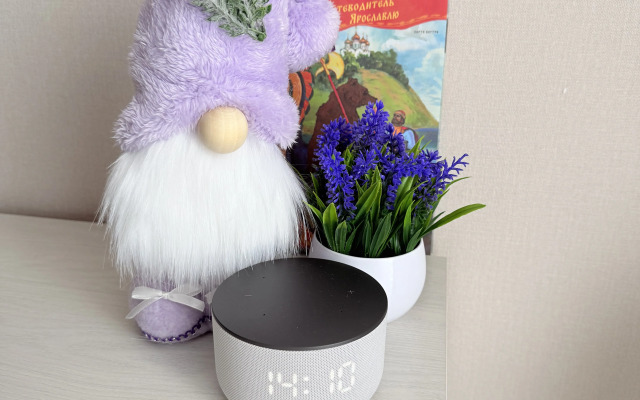 Квартира Студия Лаванда Жк Бизнес Класса Сердце Ярославля с Алисой