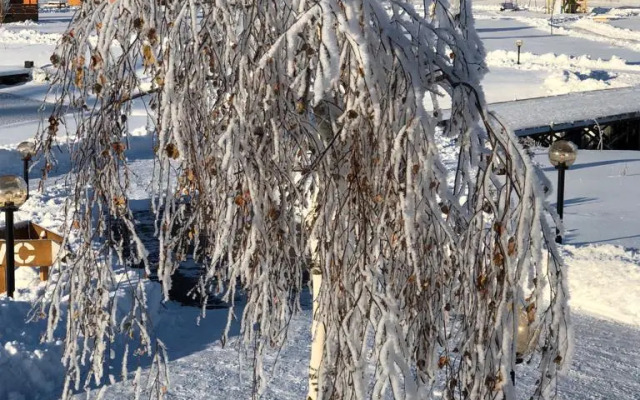 База отдыха Загородный клуб Золотые караси