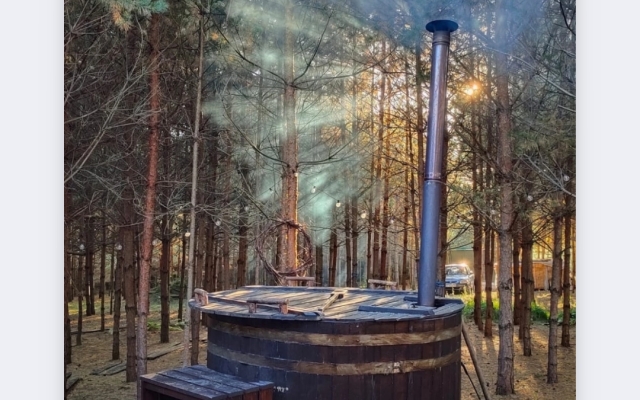 Частный Дом О, Дни в Лесу