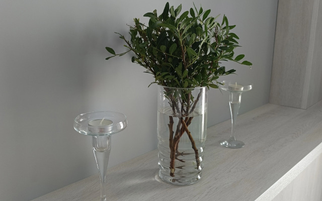 Квартира Уютная в тихом престижном районе ЖК Тихий дом