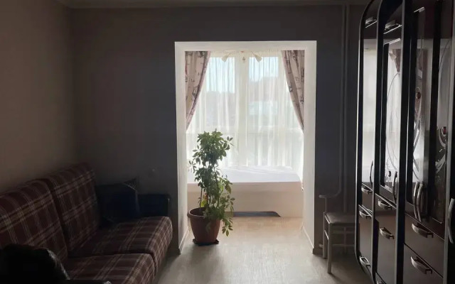 Квартира Однокомнатная Квартира Центр Города пр. Фрунзе 86