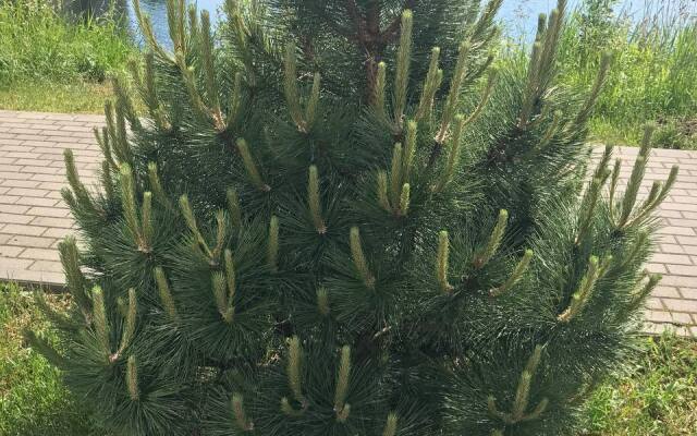 Апартаменты Четыре сезона