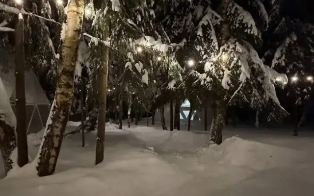 Частный дом Сфера в Лесу