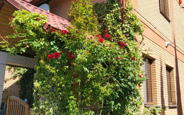 Sneburashka Guest house