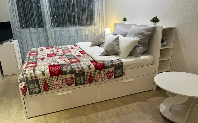 Апартаменты DaRent Karelia на Советской 6