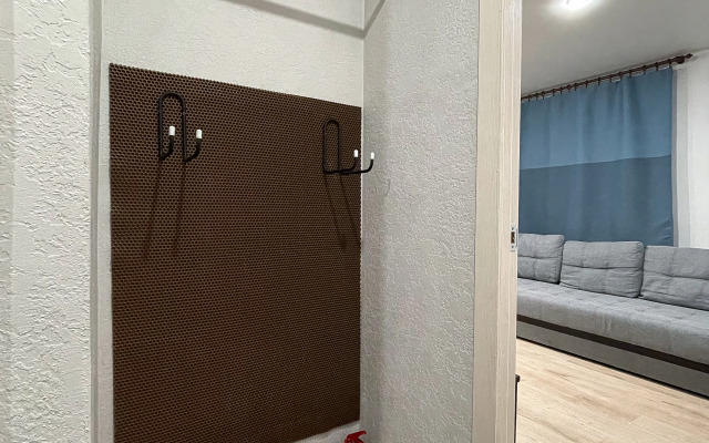 Квартира Большая однушка на Ленина 11А