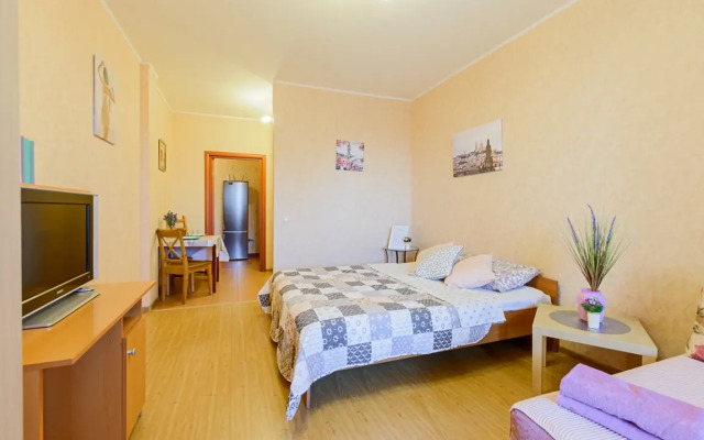 Апартаменты Домотелли 3 на Коломяжском