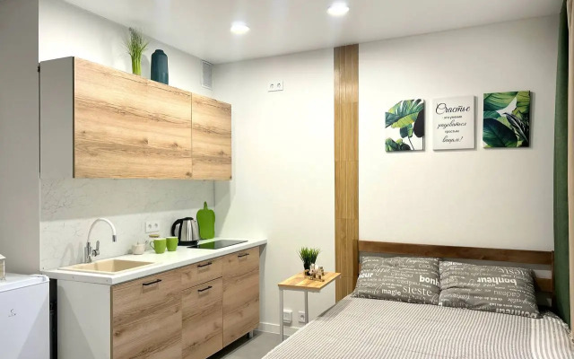 Квартира Студия у Ленты в новостройке