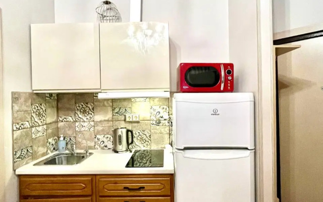 Квартира студия на Пестеля 25кв