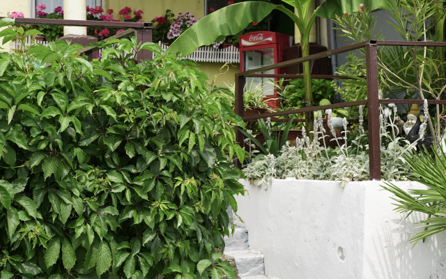 Laza Guest House