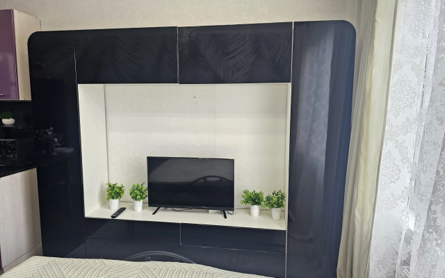 Квартира уютная студия