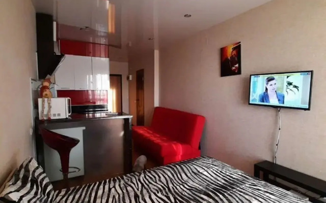 Uyutnaya Studiya V Tsentre Goroda Flat