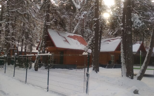 Arhyzh Forest Eco Recreation camp
