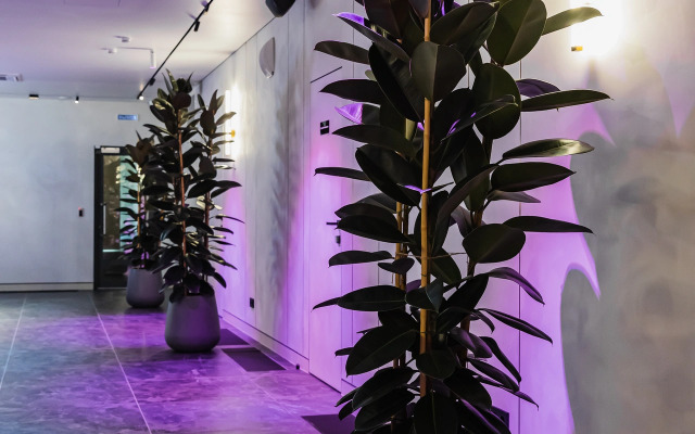 Апартаменты Премиальные в центре Санкт-Петербурга  4