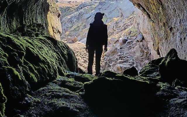 Cottages Goryachaya Sopka