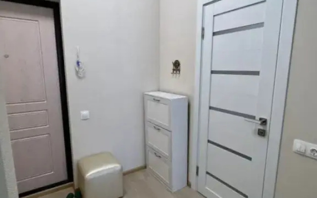 Квартира на Крымской 89 (74)