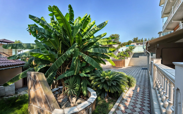 Matis Allama Group Guest house