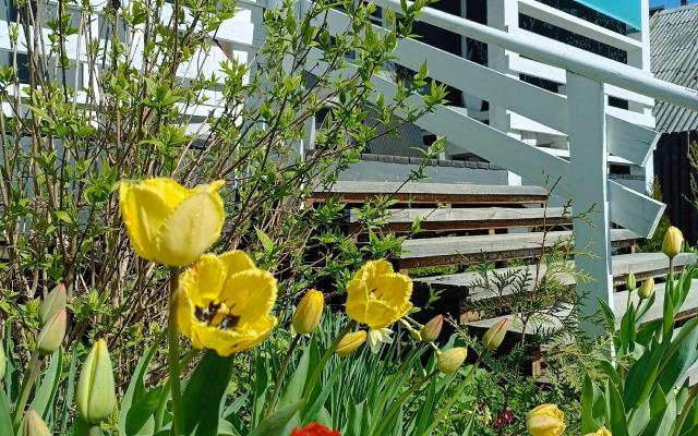 Гостевой Дом Уютный Тихвин