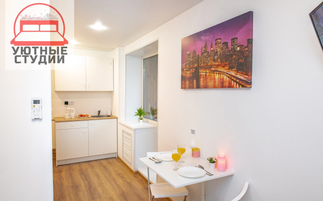 Квартира-студия на Некрасовской