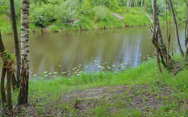 Recreation camp Zeleny Lug