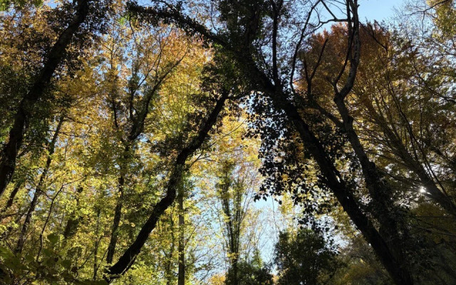 Коттедж Под звездами Комфорт