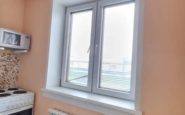 Квартира Уютная Однокомнатная Около Аэропорта Толмачево им Покрышкина