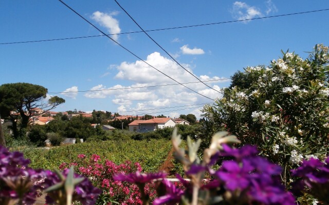 Agava Istria Apartments