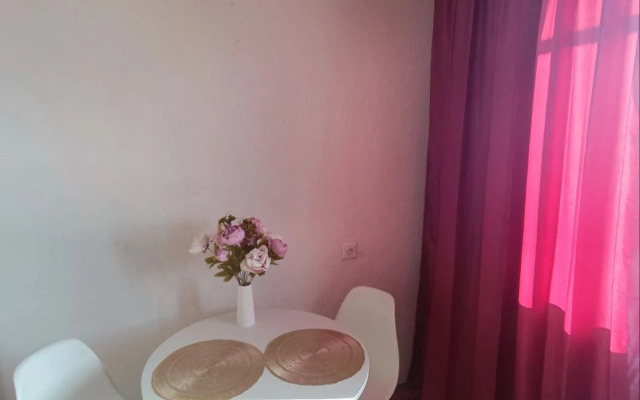 Квартира Уютная 1 комнатная квaртиpа нa Щоpca 103