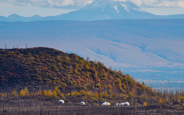 Glamping TolbachikCamp
