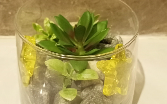 Квартира Студия на Берегу Озера с Лебедями