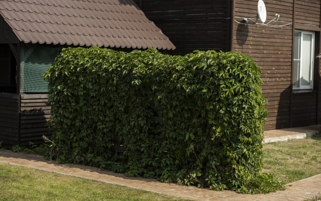 Apartments Arneevo