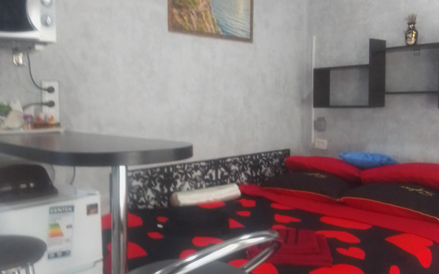 Kompaktnaya Ministudiya Vozle Vokzalov Flat