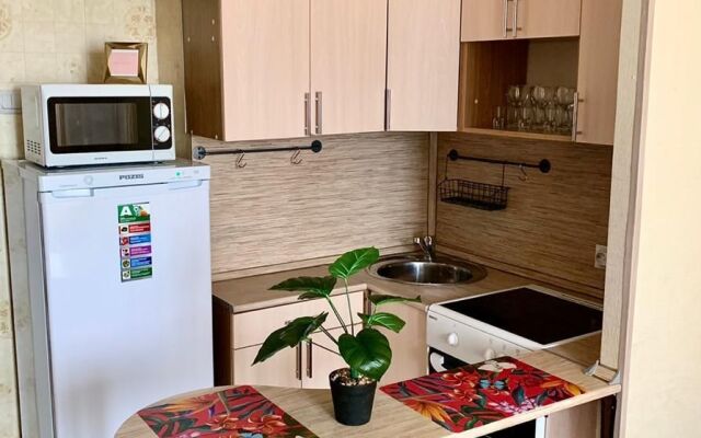 Квартира Студия в Новом Доме