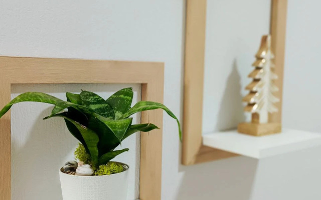 Квартира Уютная студия у леса