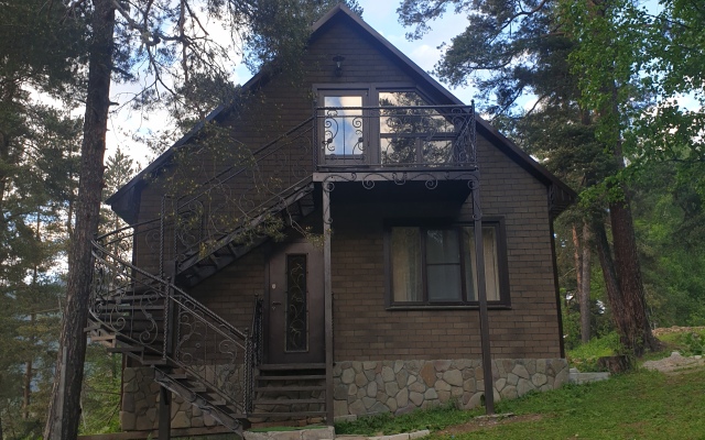 Wild Wood House