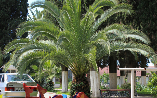 Imeni Chelyskintsev Hotel