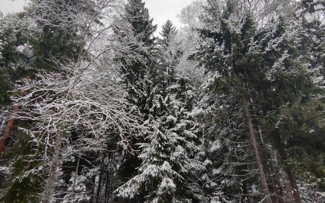 Частный дом Inkeriloft