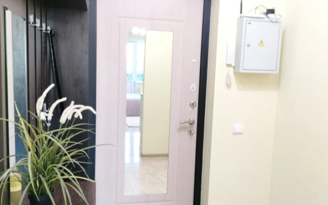 Semeynye S Balkonom Lesnaya Apartments