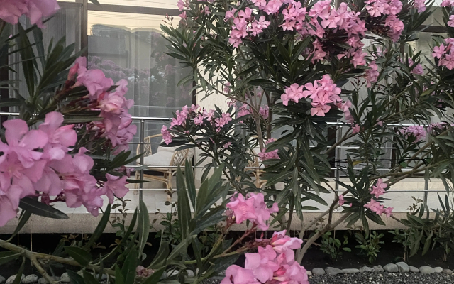 Гостевой дом Марко Поло