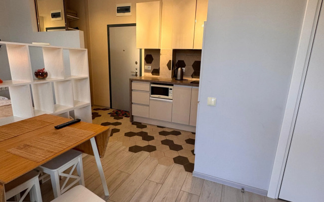 U morya s balkonom Sochi pos. Dagomys Apartments