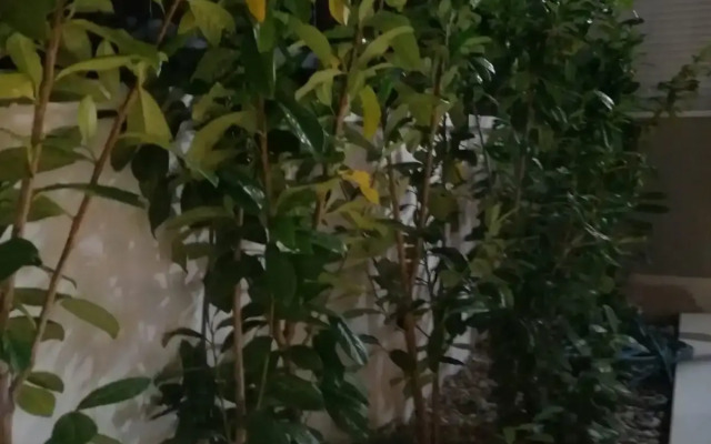 Вилла Urban Villa With Pool