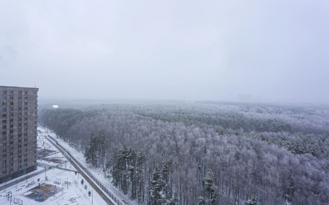 Квартира Стильная на 4 гостей у Аэропорта Внуково