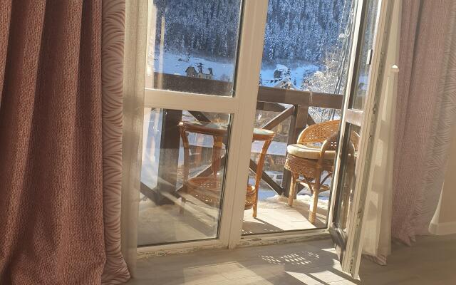 Apartment Vershina 312