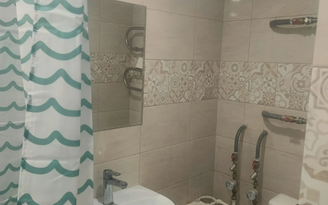 Uyutnaya Studiya Shishkova 91 Apartments